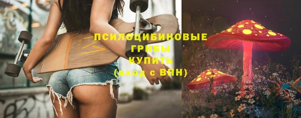 прущие крисы Абаза